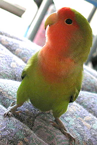 �Ȃ񂾂患���I�I