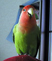 ��Ӂ[��Ӂ@�Ӂ[��Ӂ@�Ӂ`�`�`��