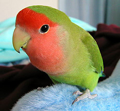 �����A������܂Ȃ��Ă����񂾂˂��H