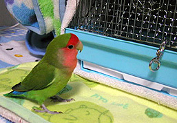 �E�E�E�����A���肢�Ȃ��B�B