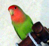 �܂܂͂����܂ŗ���Ȃ��ł���`��