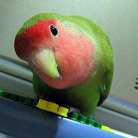 �����ŕa�@�I�����񂾂�ˁH