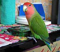 �����A�v���Ԃ肾�ˁI