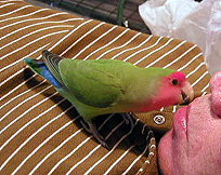 ���Ɓ[�����A�܂��V��łˁI