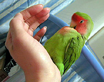 �����͂�����Ɣ�ꂿ��������B