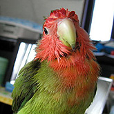 �������股�`��