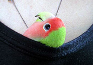 �܂܂��`�A������������