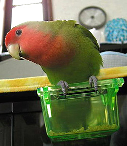 �����͖��������