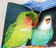 �˂��˂��`�Ȃɂ��b���Ă�́`�H