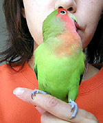 �܂܂��A�x�����Ă΁I