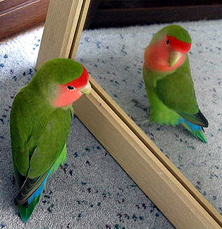 �ڂ����Ă΁A����ȂɃC�C�I�g�R�ɂȂ���������H( �E_�E)