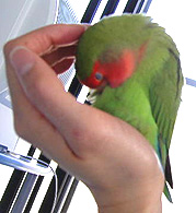 �܂܂��A���߂�˂��B�B