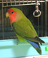 ���₿��݂Ȃ����`���B�B