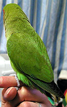 ��H�ڂ��A�ǂ����w���Ȃ́H�H�H