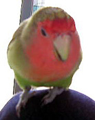 �܂܂��I���ɐ����тł��Ȃ����������I�I