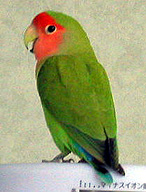 ������`�A�܂܁I�S�z���������I