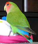 �����������������`��