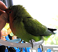 �悧�[���������Ȃ��Ƃˁ�