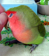 ���`��A�����������`��