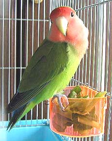 �܂܂��A�����͂����̂ƈႤ�˂��B