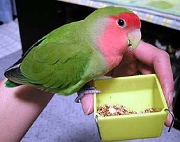 ���݂��������񂾂���I�i���M�ÁL���j������!!