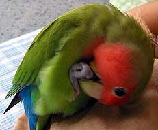 �܂̂�����ꂵ�Ă�񂾂悧�`��