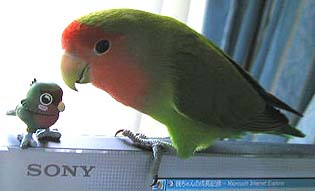 �˂����˂��A�܂܂����`�p�\�R���΂�����ŗV��ł���Ȃ��ˁ`