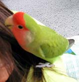 �܂܂��A�������������̂ɂ��ā`