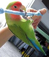 �ւււ��A���ł���H