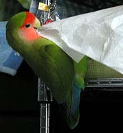 �܂܁`�A�e�B�b�V�������Ă�����`�`�`