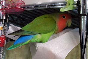 �E�E�E�X���X���������̂��B�B