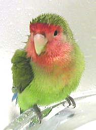 �����ɂ����A���那�H