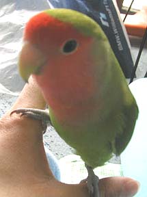 �v���Ԃ肾�Ȃ��`�A�A�a�@�B�B