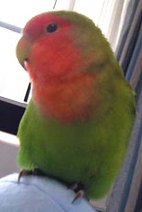 �܂܂��A�����͂���Ɗ����˂��B�B