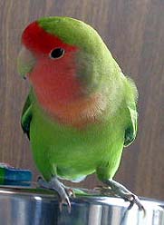 �����A�Ȃɂ���`�H