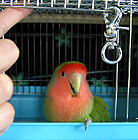 �͂��I�݂���������������`�`�`