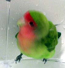 ����ˁA�������낢�񂾂悧�`�I