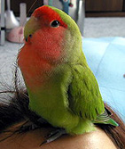 �E�E�E�����񂾂��Ă΁B�B