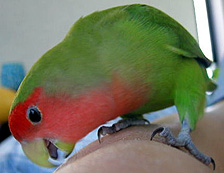 ������Ă΁A�H�ׂ��́H�H�H