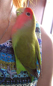 �}�}���`�A�A�A���Ɓ[�����ƃC�C�R���Ă邩��[�A�����A�����Ă��`�B�B