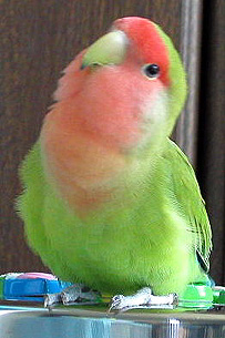 �݂�ȂŊC�ɍs�����Ⴄ�̂��`�H 