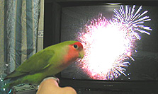 ���킟�`�`�`����񂲂��[���A���ꂢ�`�I