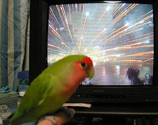 �����A���ł��Ȃ��̂��I�H