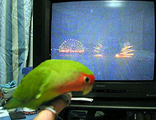 �ق��A�������Ⴍ�Ȃ�����`