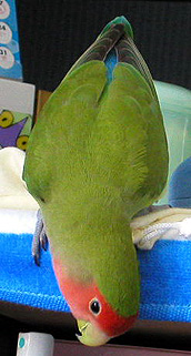 �܂܂��`�A�ǂ��ł��ォ�`�H�H�H