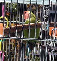 ���O�o��́A�v���Ԃ�`��