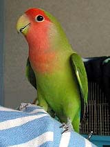 ���`�A���������������I