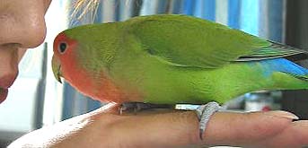 ����}�}�̃N�`�r���A����������`