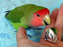 �˂��˂��A�ڂ�������ˁ`�H