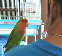 �����A�|�b�R�����v���H�H�H